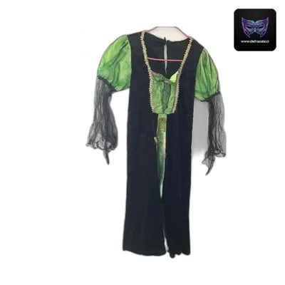 Disfraz Brujaverde (Talla 6)